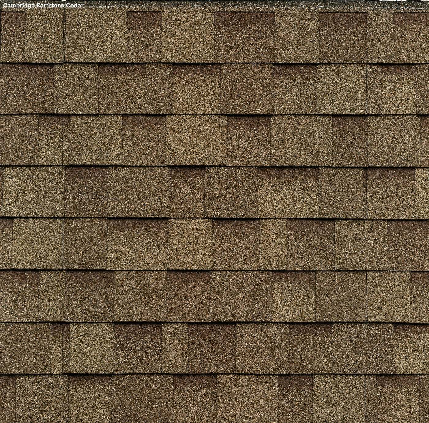 Earthtone Cedar